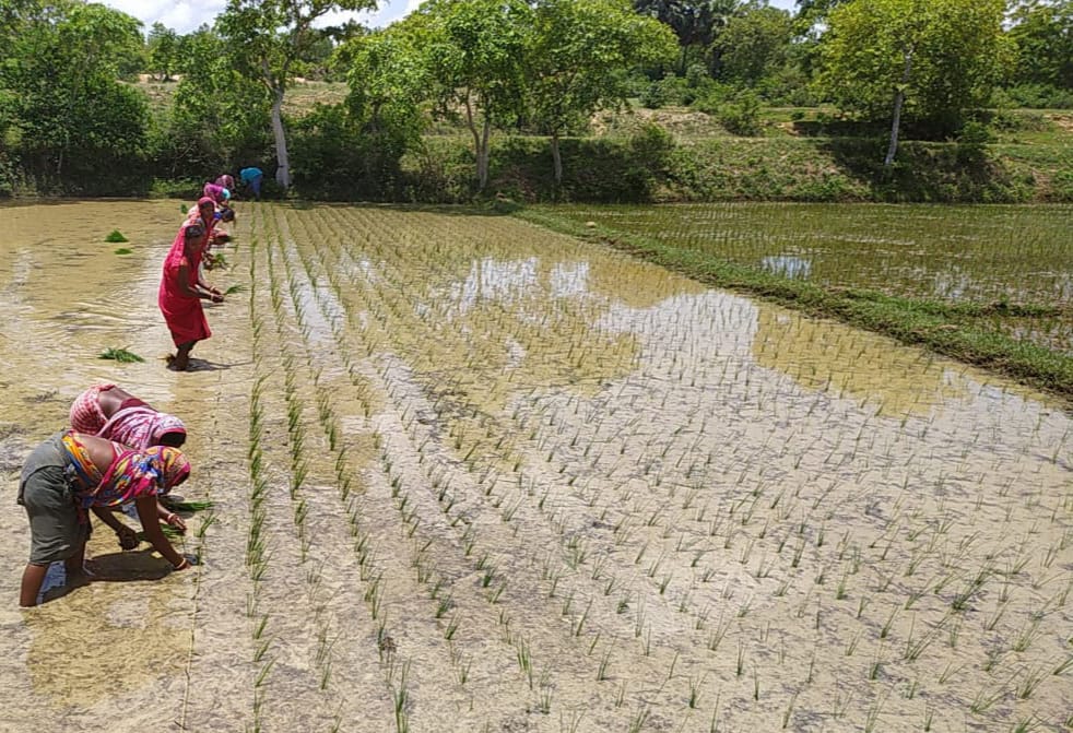 HAPEF team working with rural community members