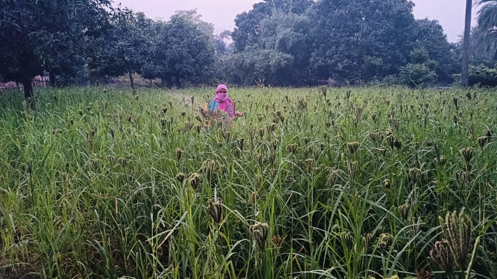 Annual Report 2024-2025