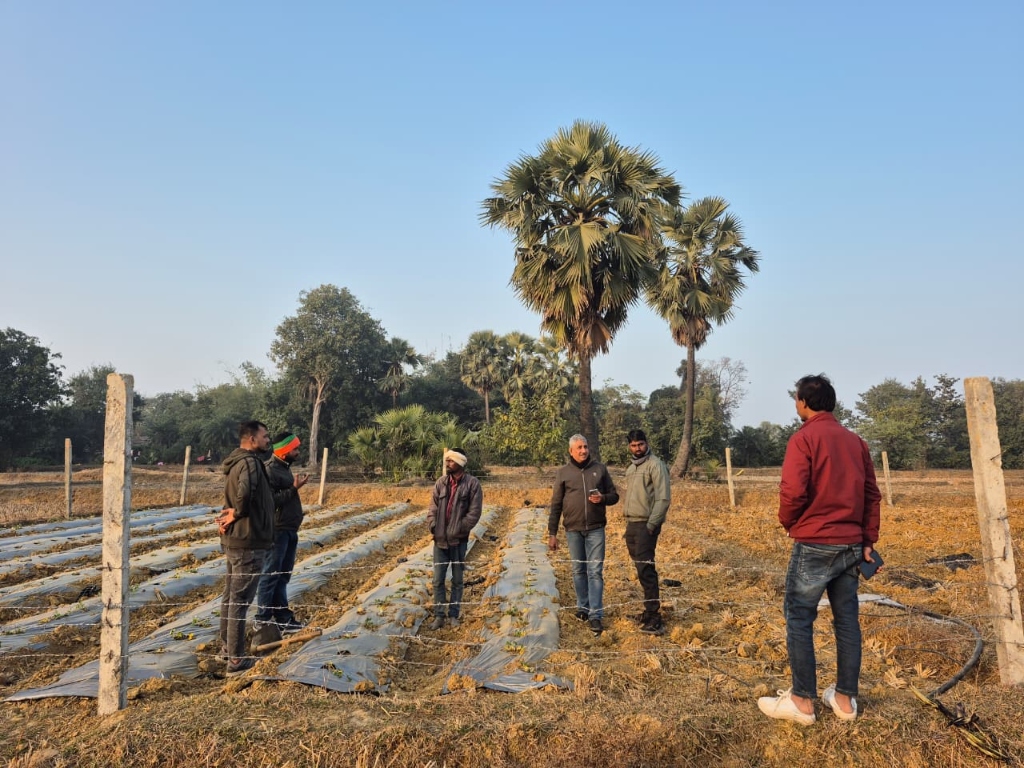 Community blanket distribution