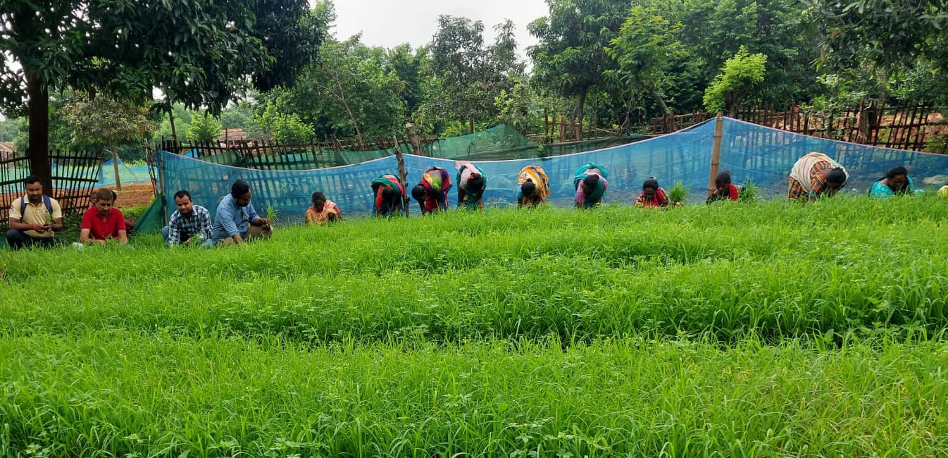 Building Environmental Resilience