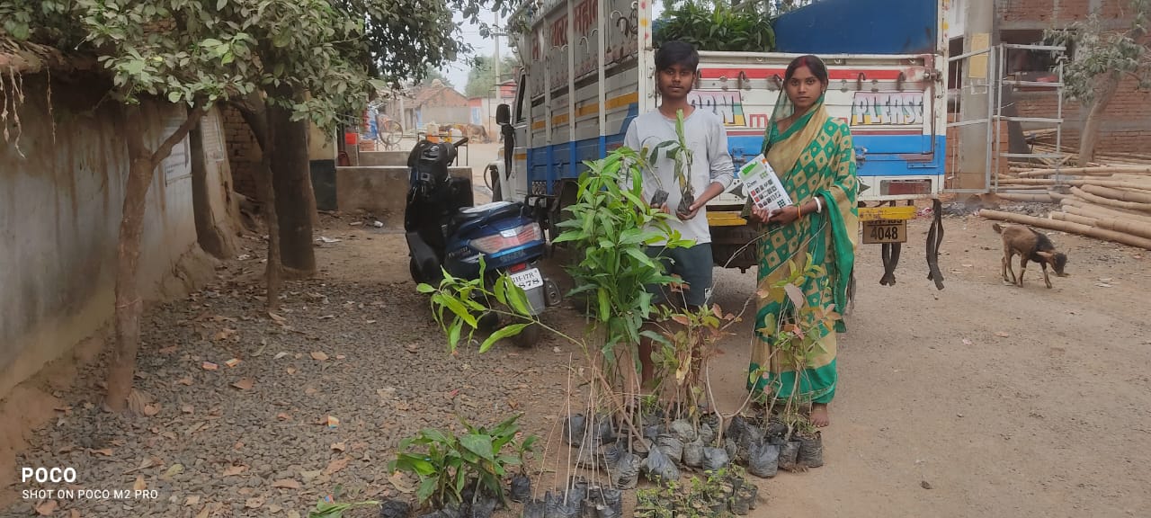 Climate Action & Adaptation