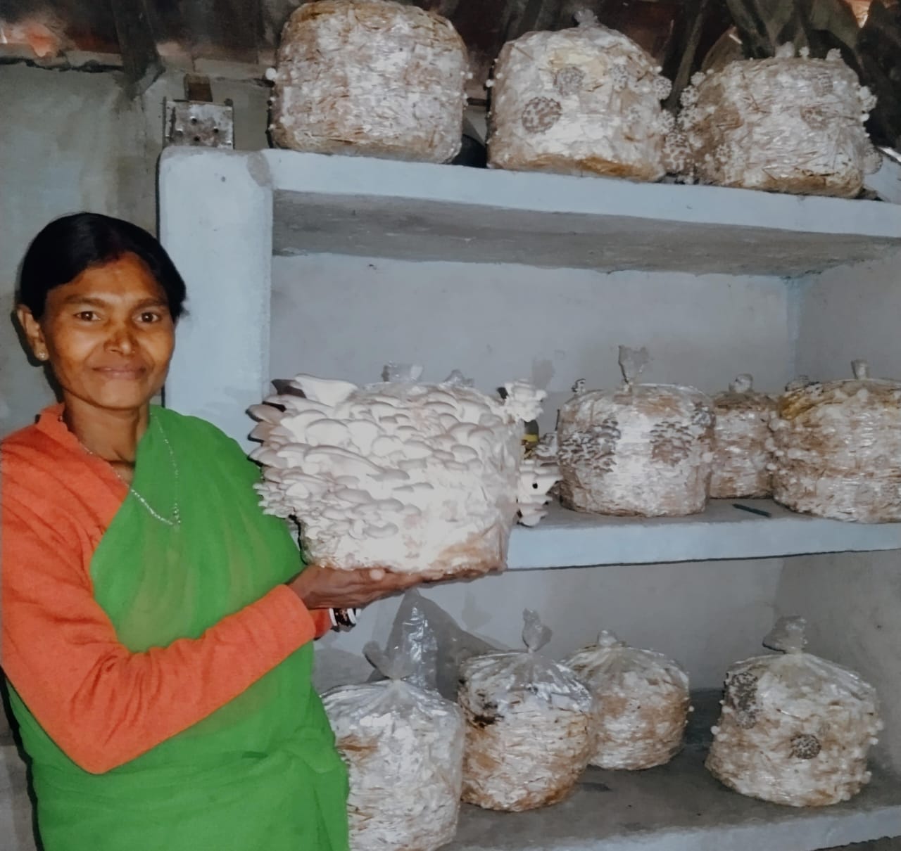 Mushroom Cultivation Training