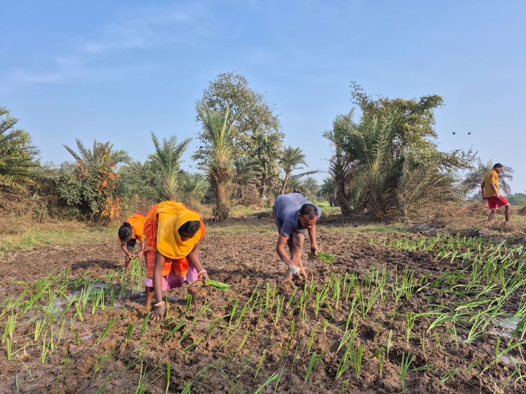 Documentary on DD National