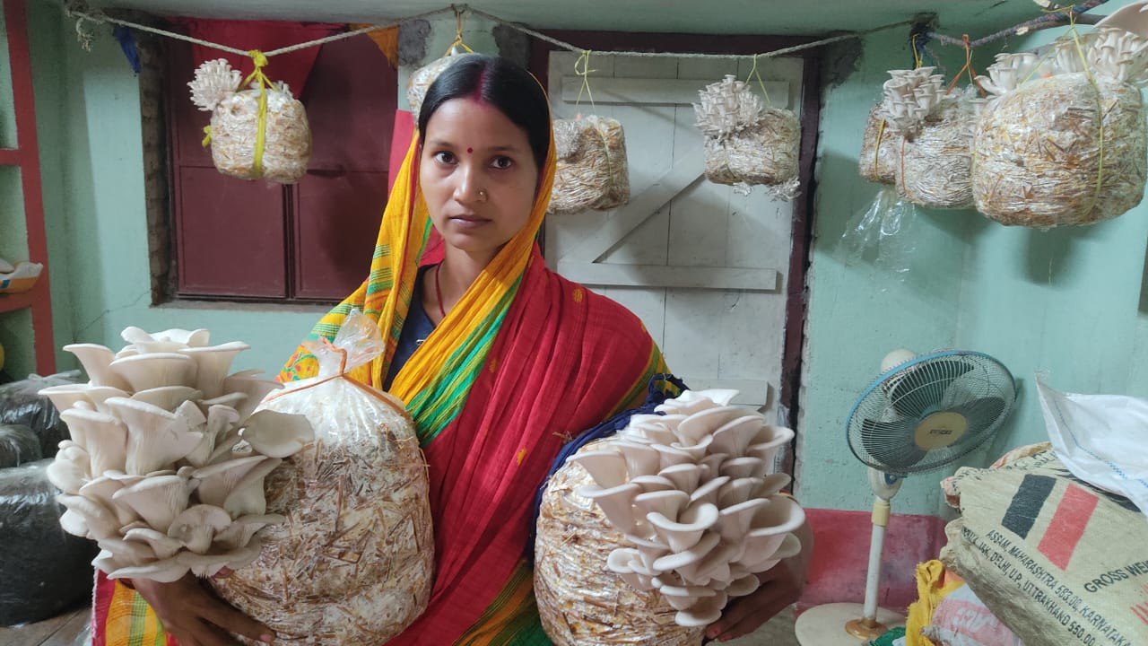 Mushroom Entrepreneurship Program