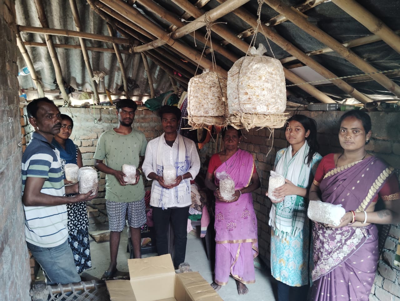 Mushroom program benefits