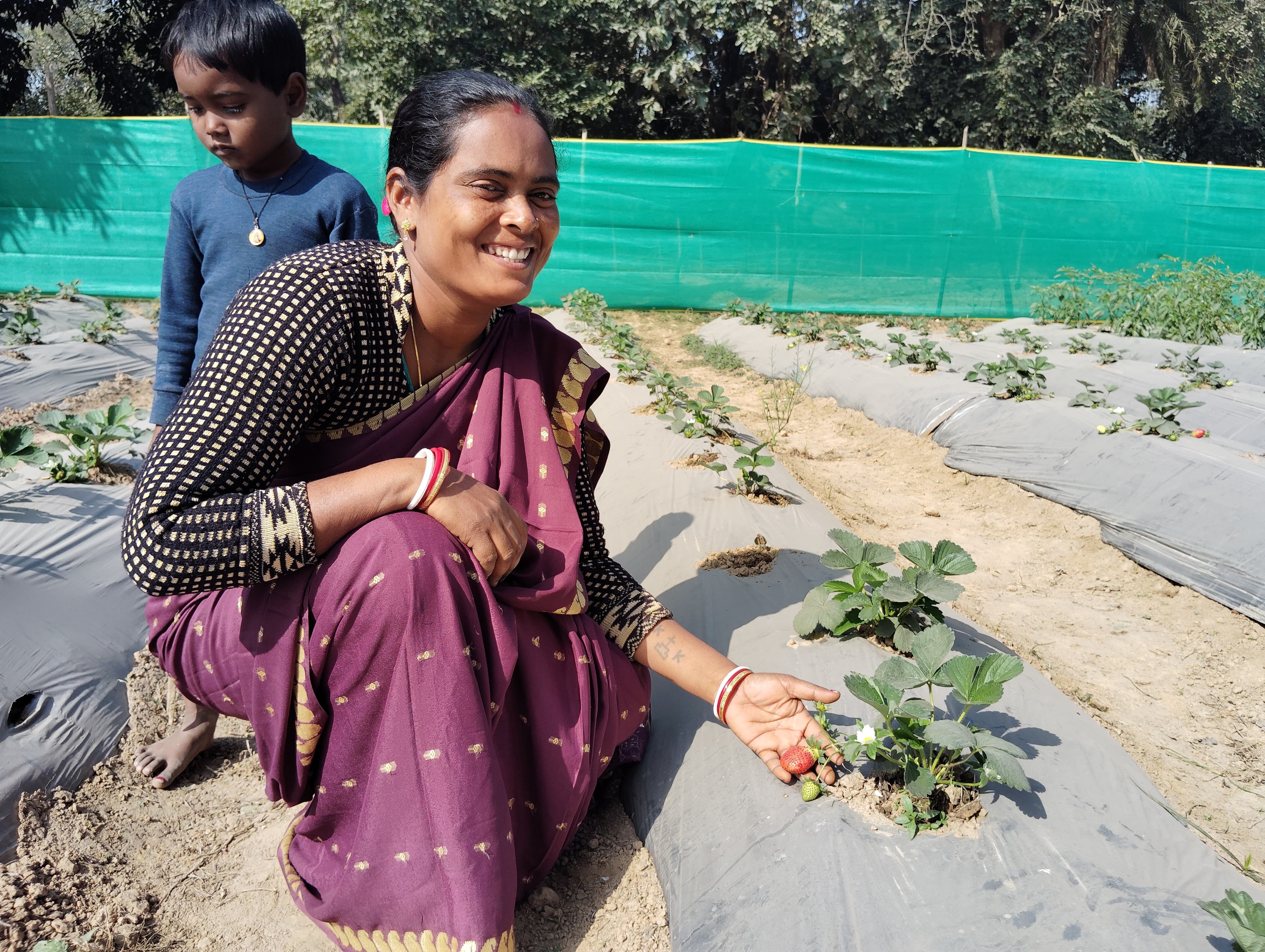 Sustainable Economic Opportunities