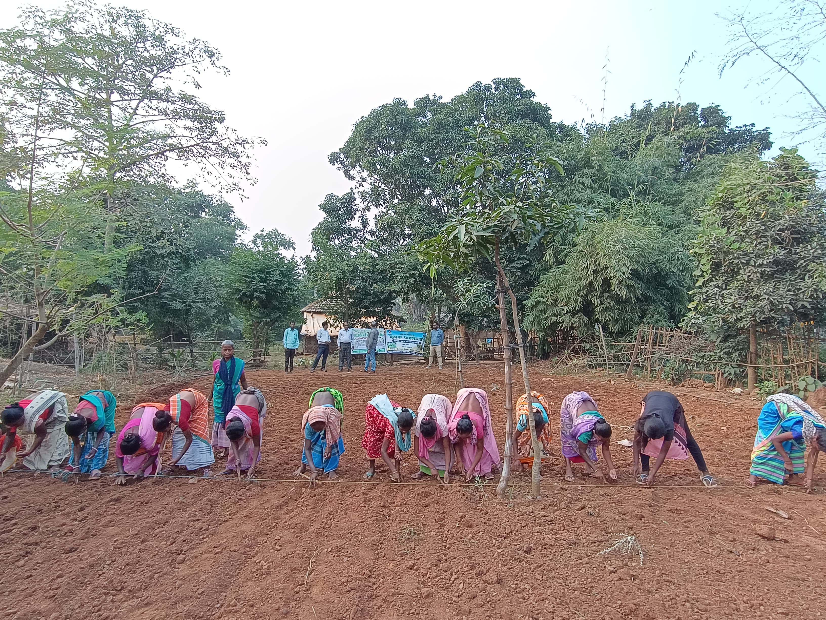 Community Development