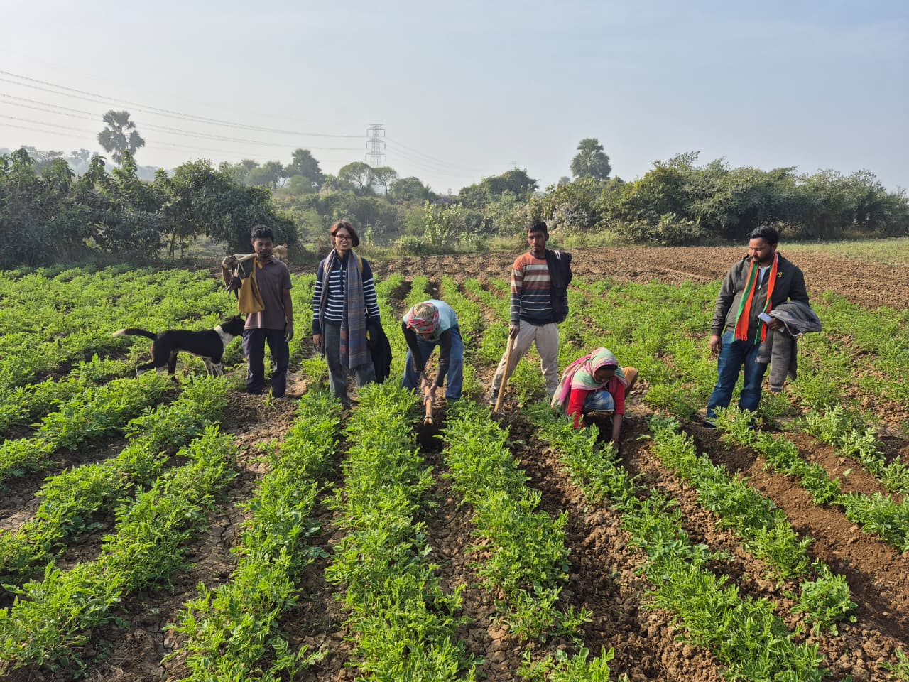 Climate-Smart Agriculture Workshop